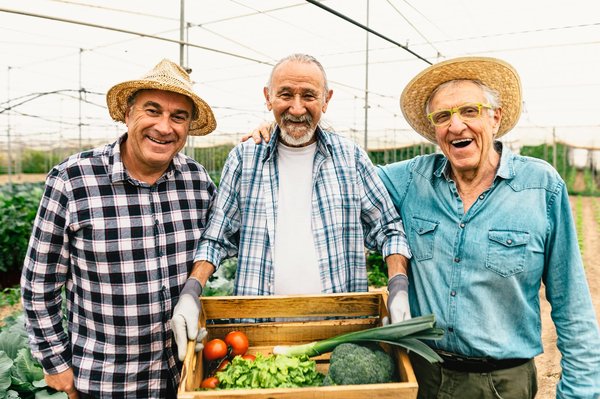 Comment mettre en place une coopérative de producteurs locaux de miel urbain?