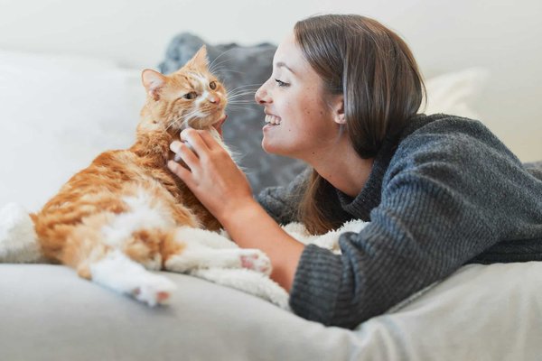 Teindre son chat : est-ce vraiment sans risque ?